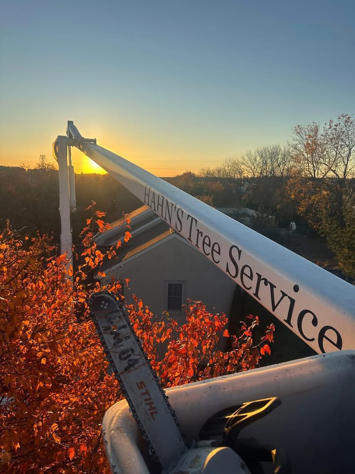 Hahn's Tree Service crane boom lettering lit by sunset above a Bangor PA rooftop with autumn foliage