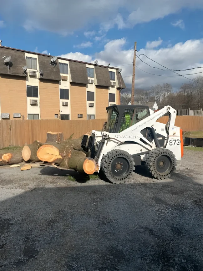 Skid steer moving logs at a commercial site