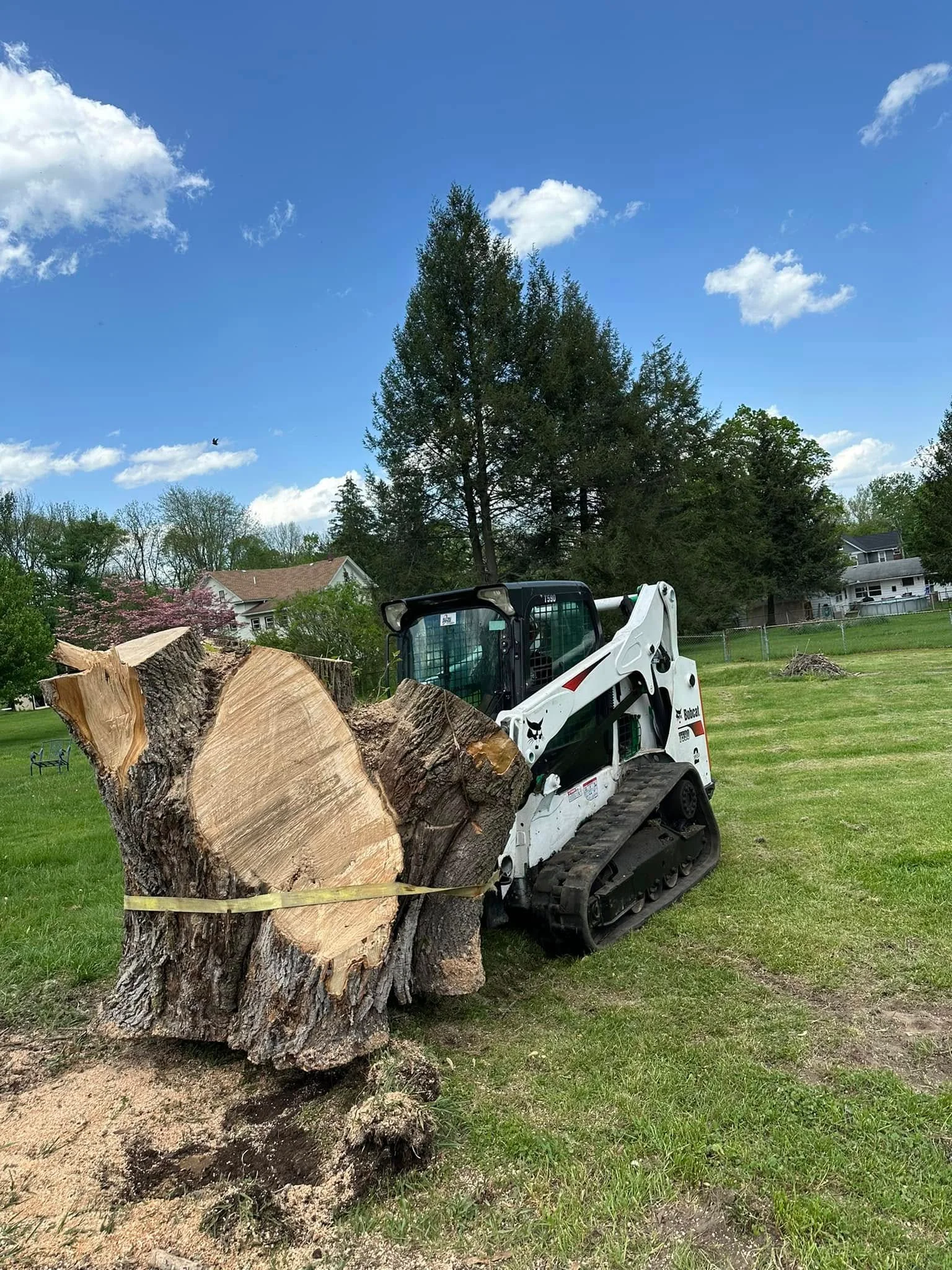 Hahn's Tree Service tracked skid steer moving a large cut trunk section on a wooded lot near Hellertown PA