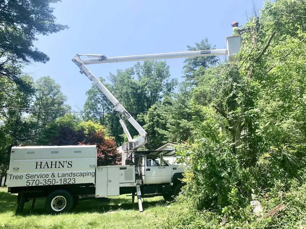 Hahn's Tree Service branded bucket truck trimming a residential shade tree in Nazareth PA