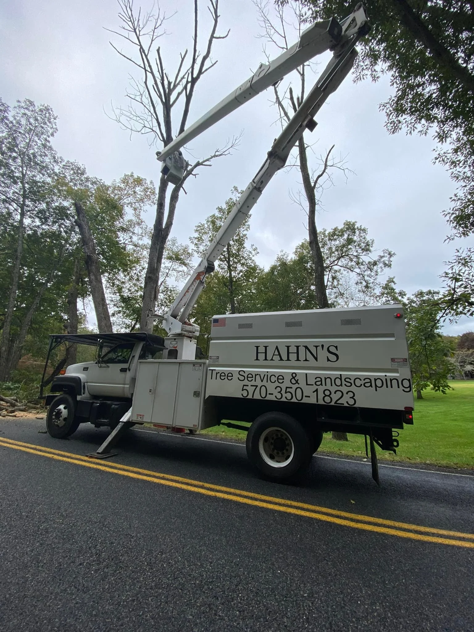 Hahn's Tree Service bucket truck working on a dead tree beside a two lane road near Northampton PA