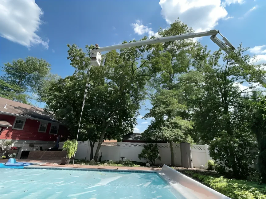 Bucket truck trimming a tree over a backyard swimming pool