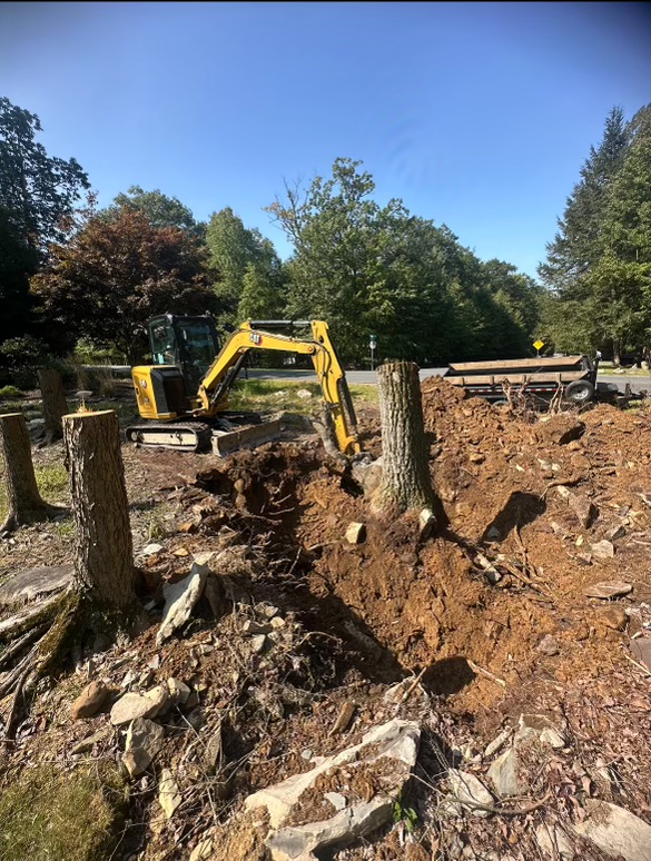 Crew excavating a stump with a skid steer