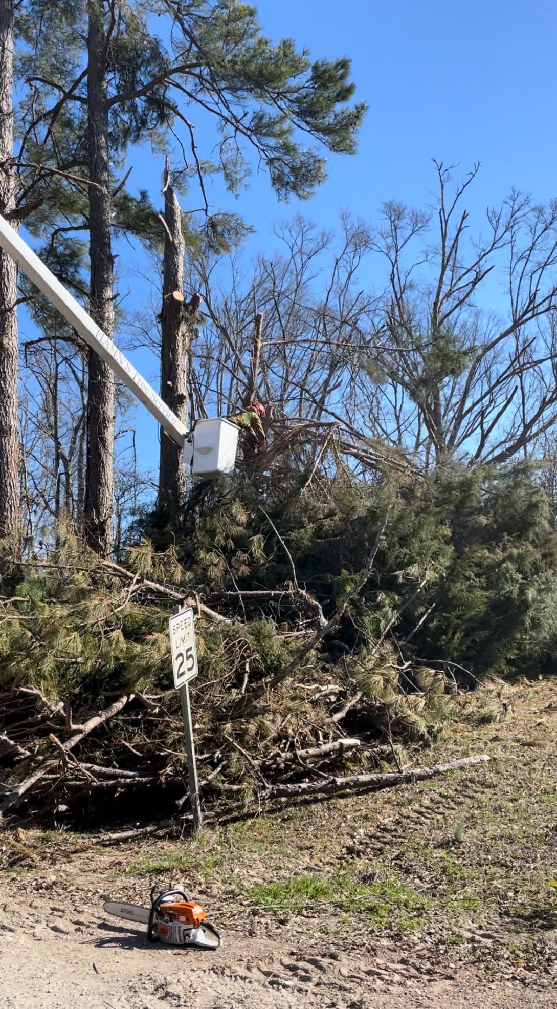 Two crew members in Hahn's Tree Service jackets outside a house, one holding a work order and looking up, road closed sign and picket fence behind them