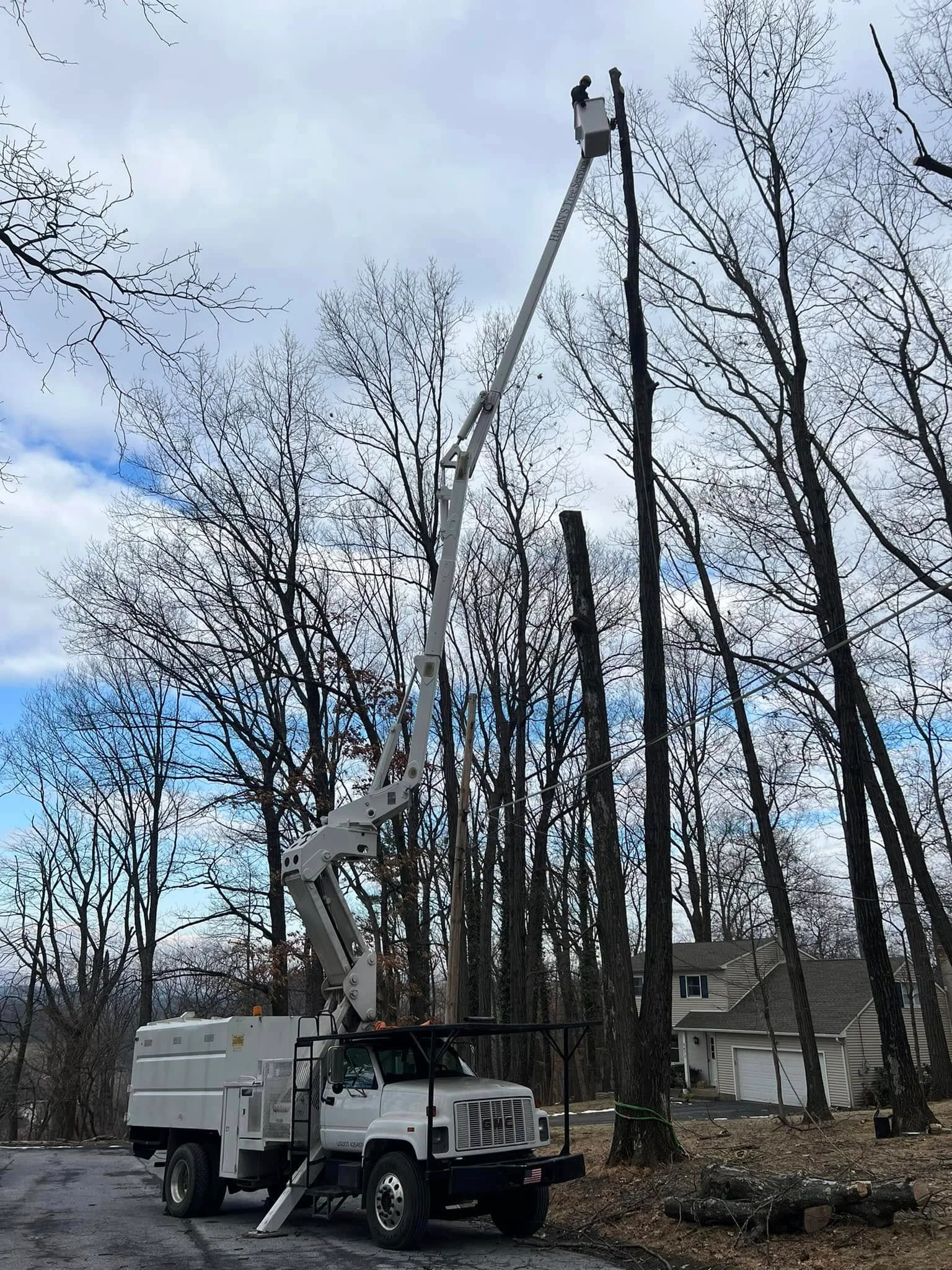 Hahn's Tree Service GMC bucket truck removing a tall dead tree from a residential driveway in Allentown PA