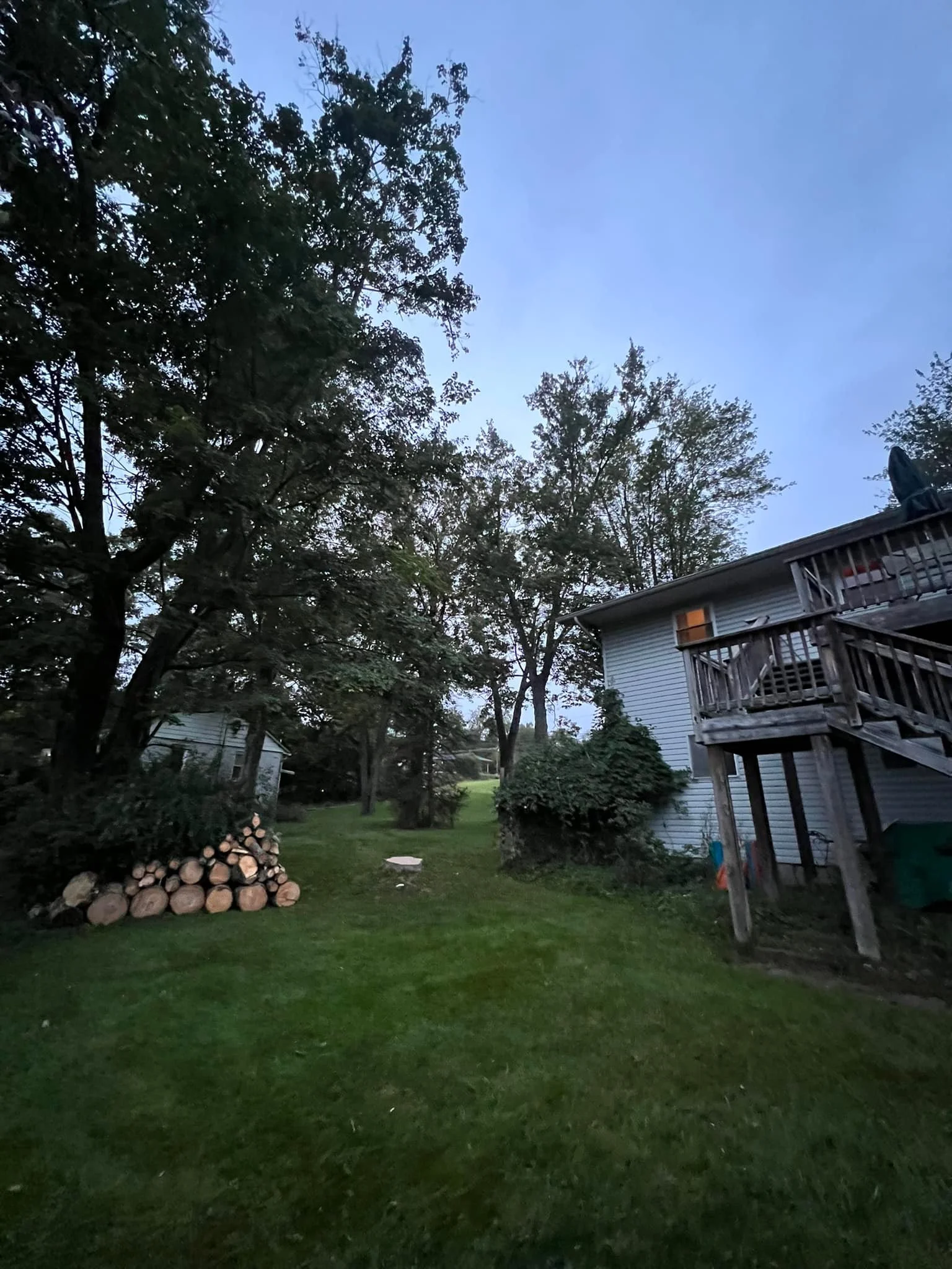 Backyard at dusk with a stacked log pile and a freshly cut stump